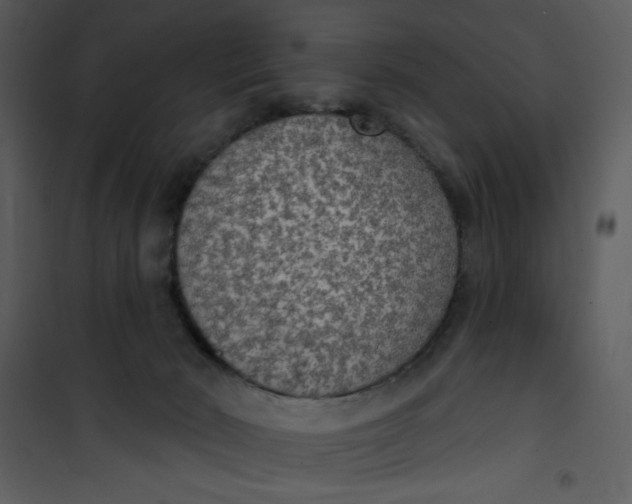 X0000101150030200807181345