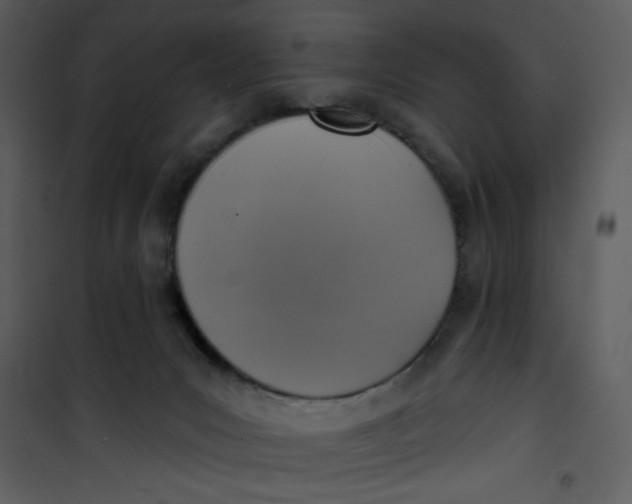 X0000101150031200807181345