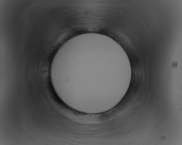 X0000101150032200807181345