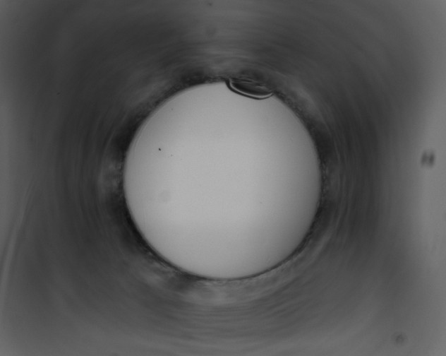 X0000101150033200807181345