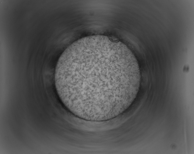 X0000101150034200807181345