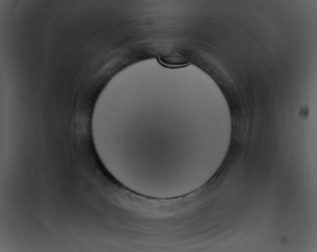 X0000101150035200807181345