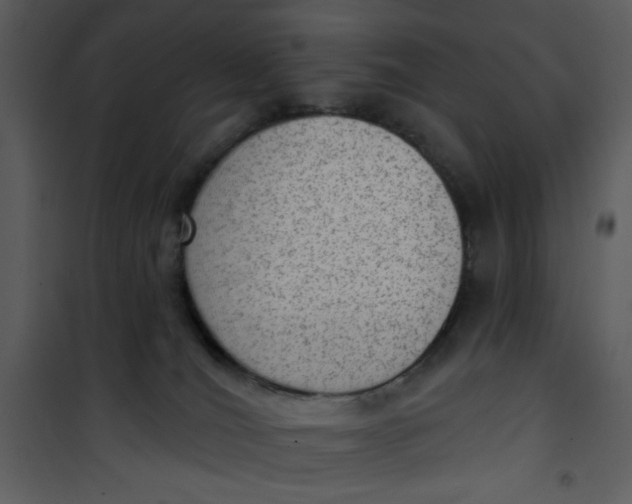 X0000101150036200807181345