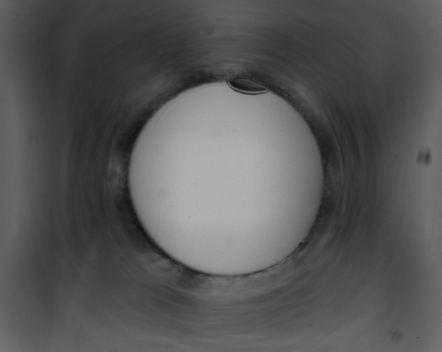 X0000101150037200807181345