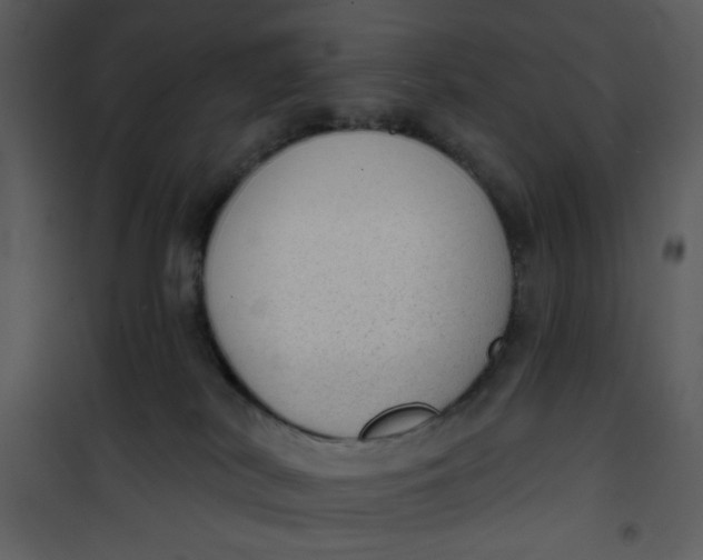 X0000101150038200807181345