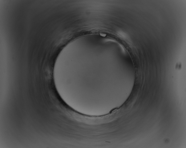 X0000101150039200807181345