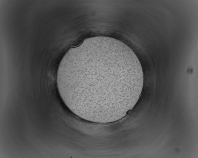 X0000101150040200807181345