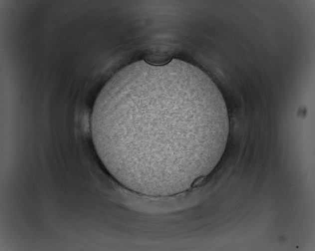 X0000101150042200807181345