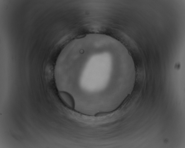 X0000101150043200807181345