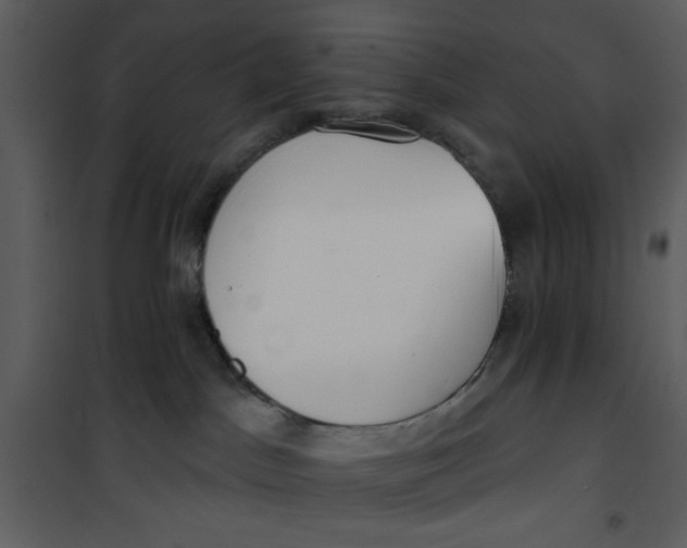 X0000101150045200807181345