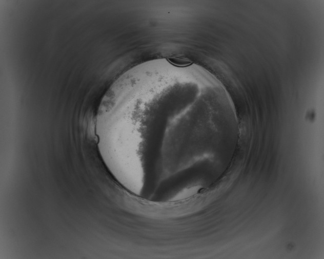 X0000101150046200807181345