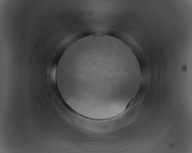 X0000101150047200807181345