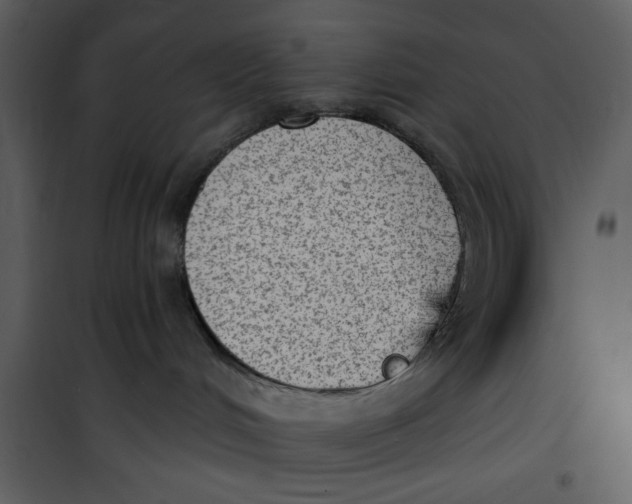 X0000101150048200807181345