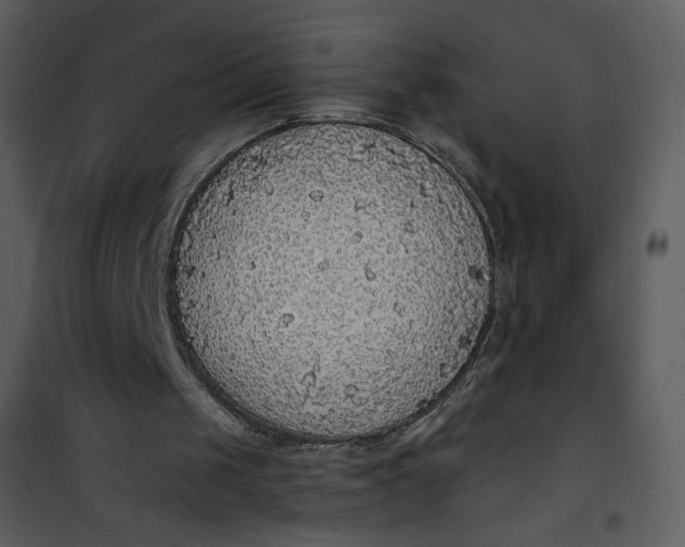 X0000101150049200807181344