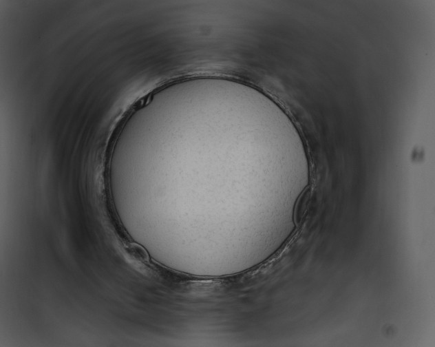 X0000101150050200807181344