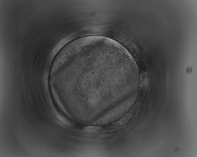 X0000101150051200807181344