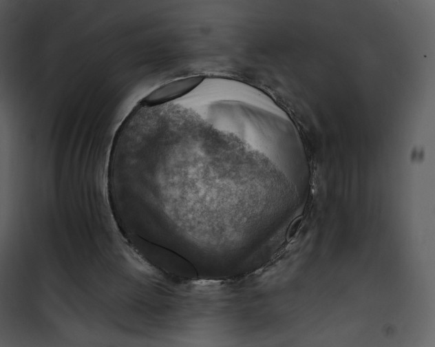 X0000101150052200807181344