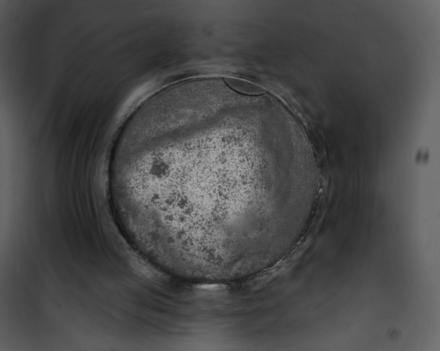 X0000101150053200807181344