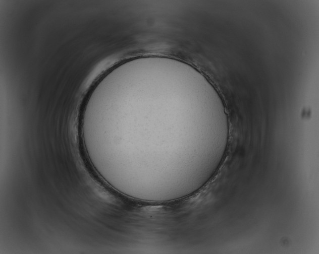 X0000101150054200807181344