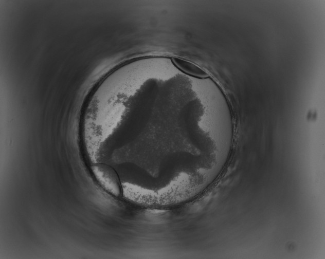 X0000101150055200807181344