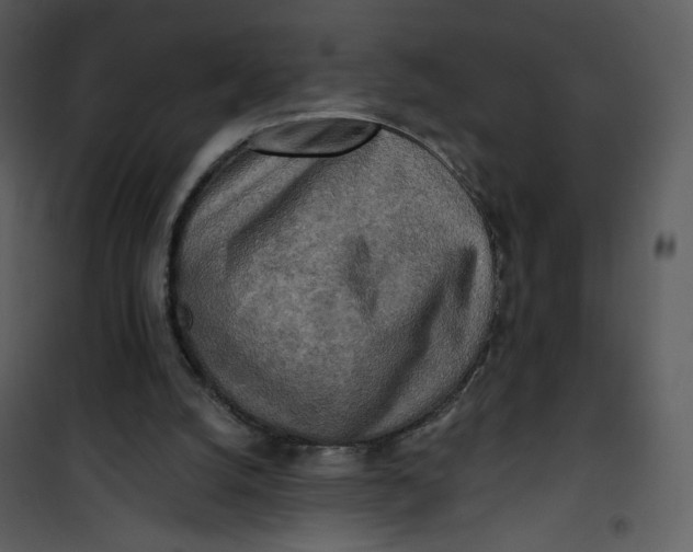 X0000101150056200807181344