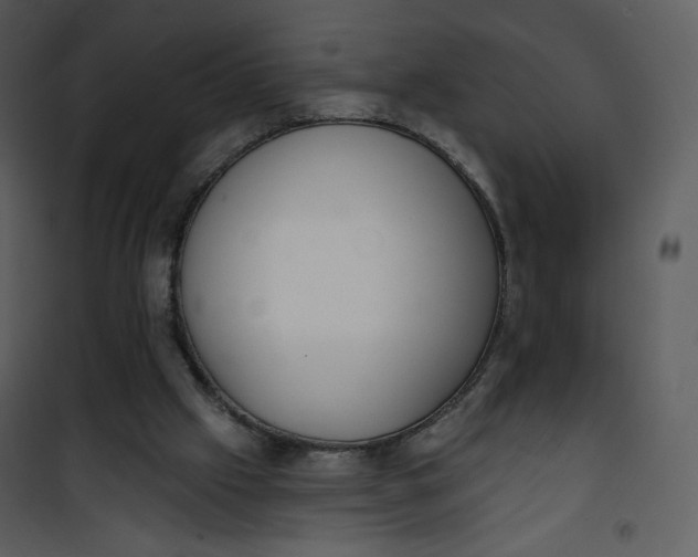 X0000101150057200807181344