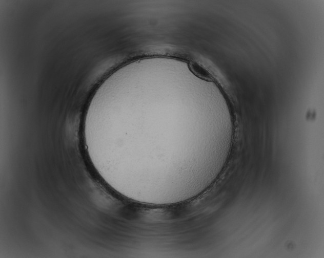 X0000101150058200807181344