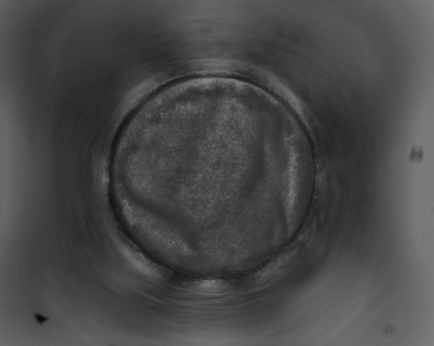 X0000101150059200807181344