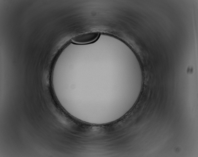 X0000101150060200807181344