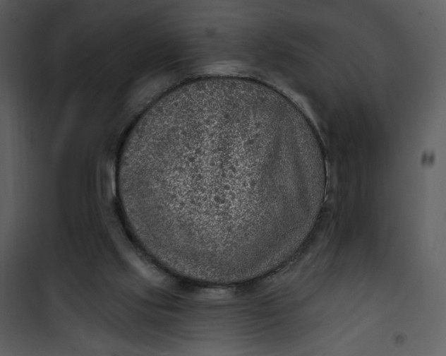 X0000101150061200807181344