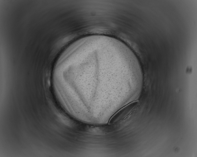 X0000101150062200807181344