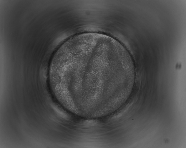 X0000101150063200807181344