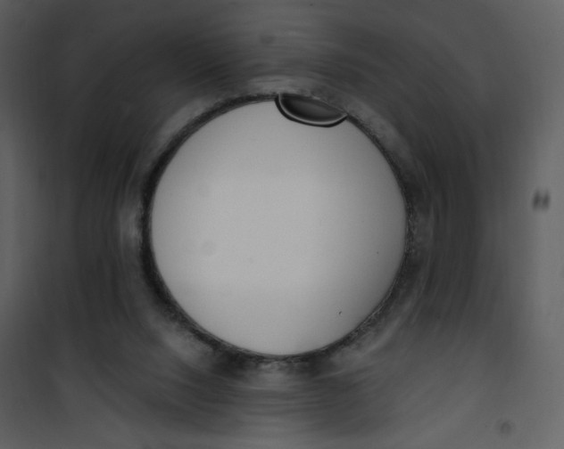 X0000101150064200807181344