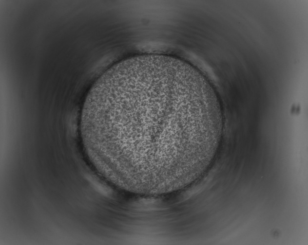 X0000101150065200807181344