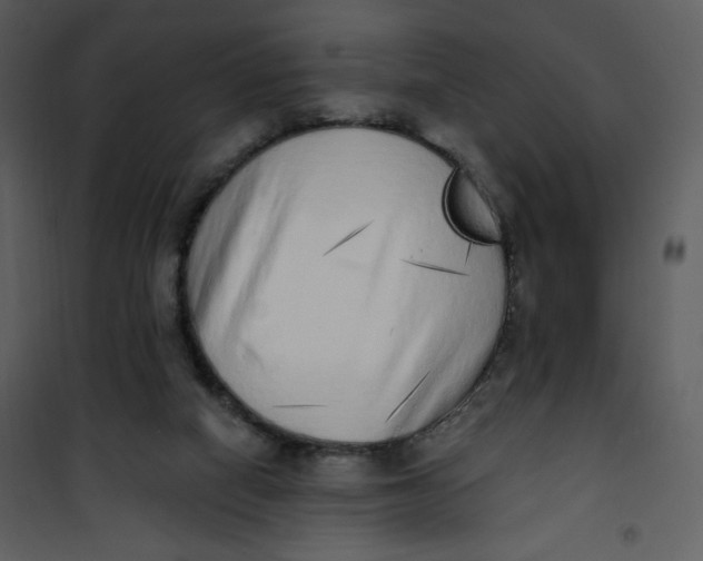 X0000101150066200807181344