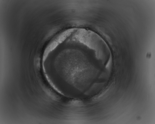 X0000101150067200807181344