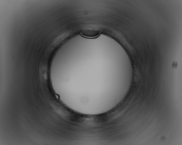 X0000101150068200807181344