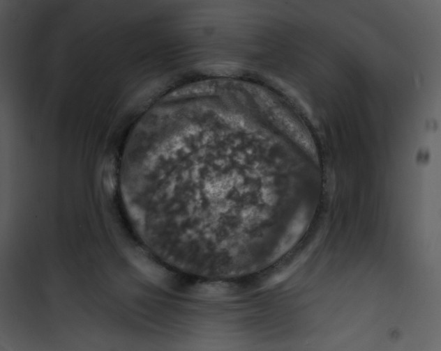 X0000101150069200807181344