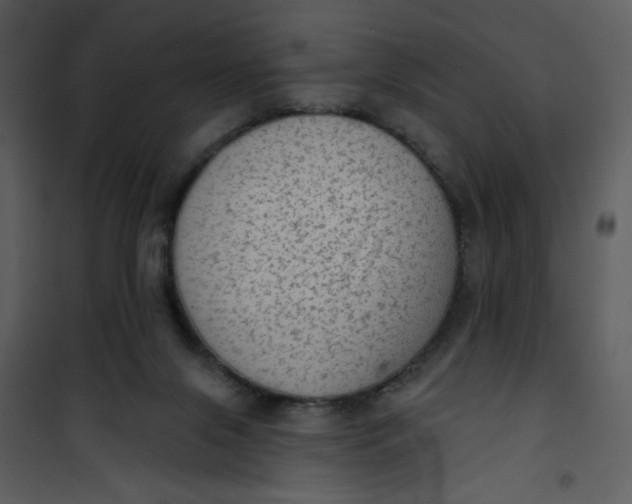 X0000101150071200807181344