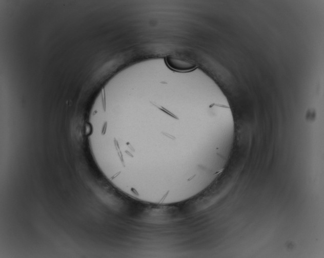 X0000101150072200807181344