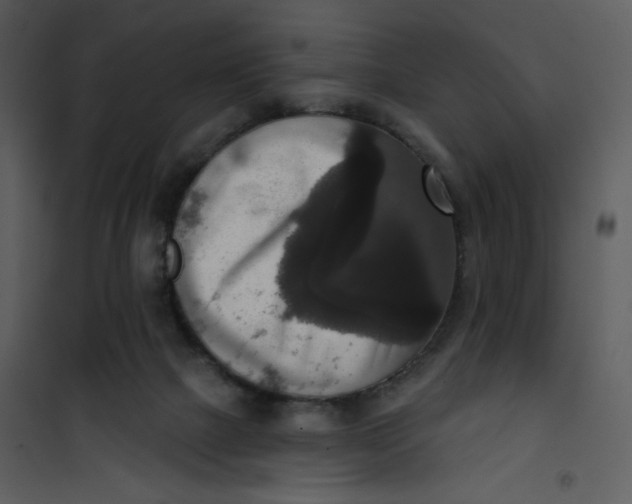 X0000101150073200807181344