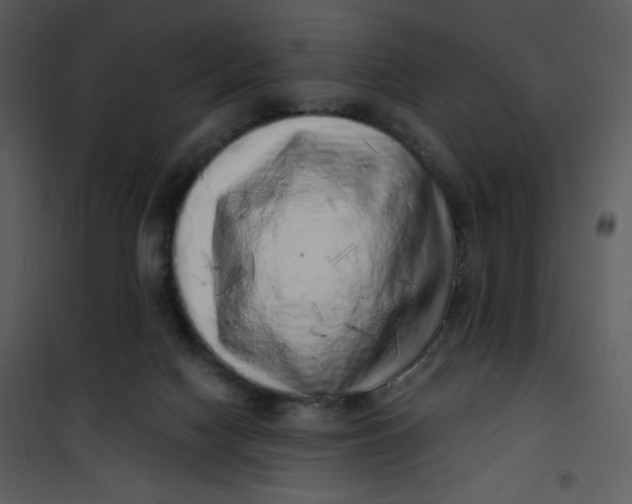 X0000101150074200807181344