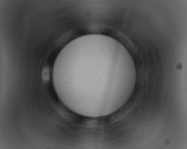 X0000101150075200807181344