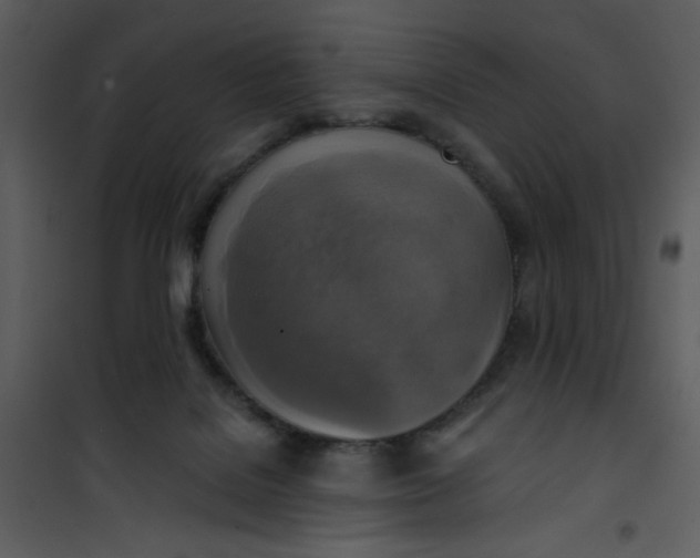 X0000101150076200807181344