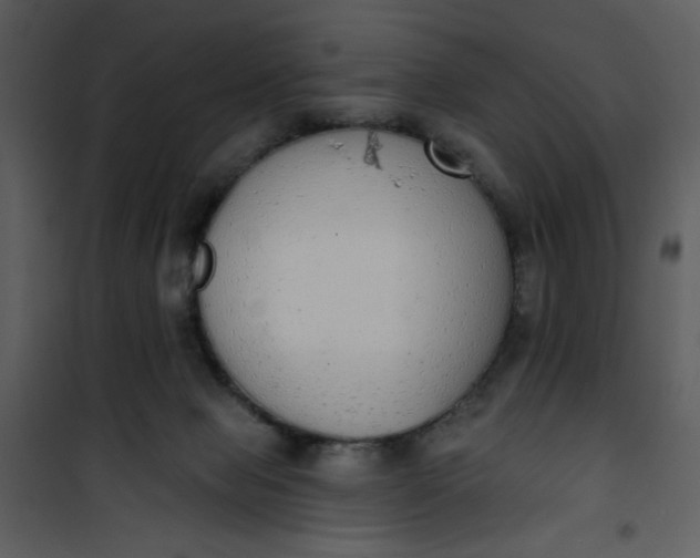 X0000101150077200807181344