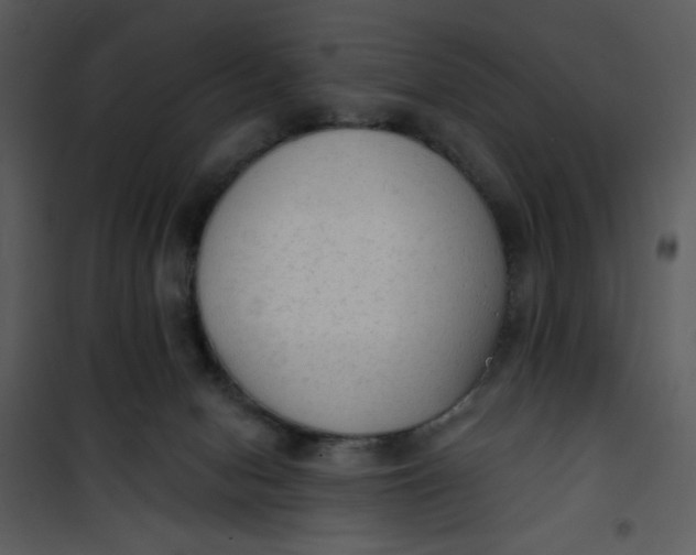 X0000101150078200807181344