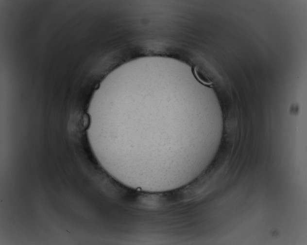 X0000101150079200807181344