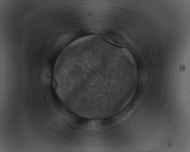 X0000101150080200807181345