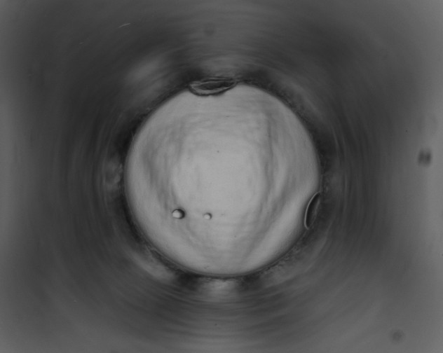 X0000101150081200807181345