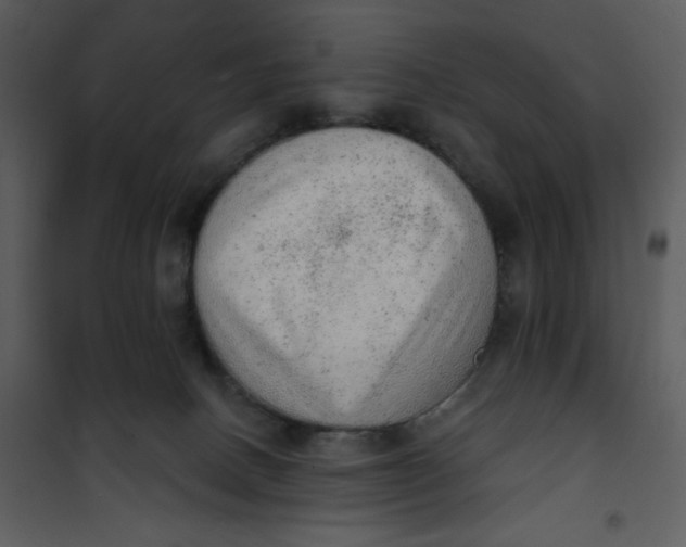 X0000101150082200807181345